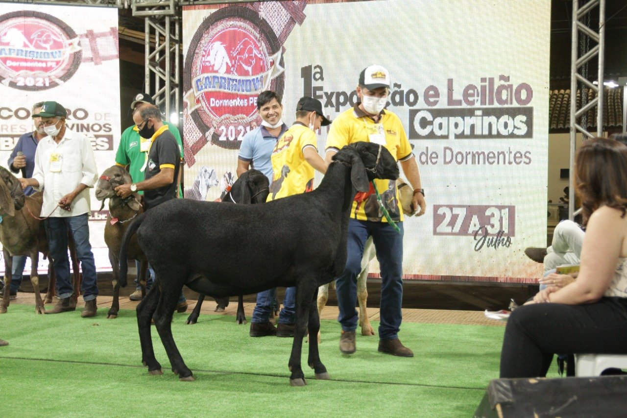 CAPRISHOW (2)