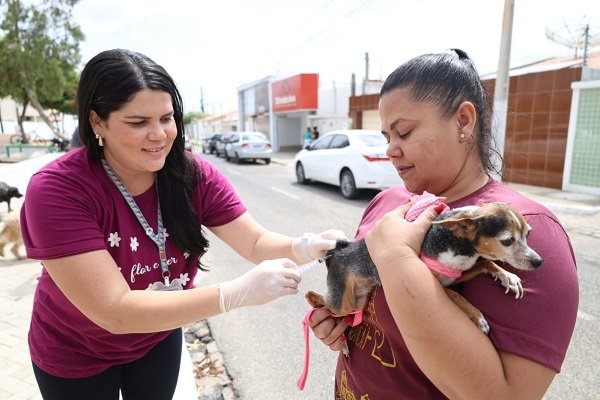 VACINAÇAO ANTIRRABICA PETROLINA
