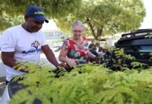 Prefeitura de Petrolina leva Carro da Planta para o bairro Vale Dourado nesta quarta-feira