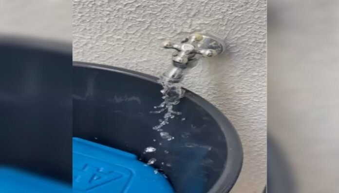 WhatsApp Image 2025-02-25 at 10.33.57