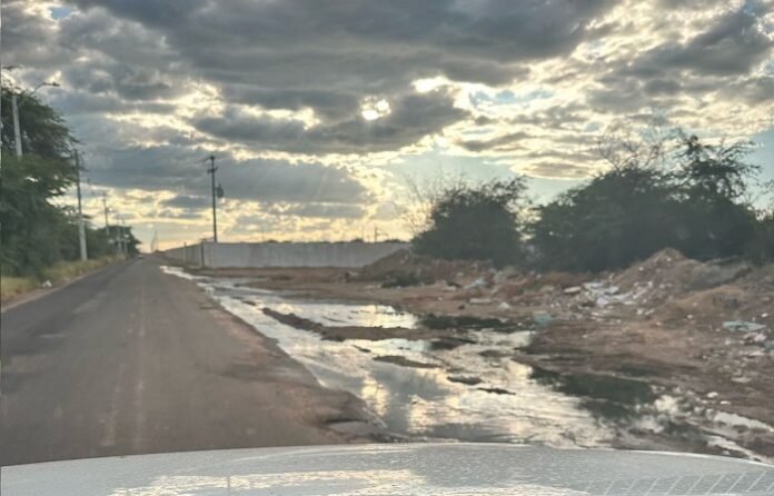 WhatsApp Image 2025-02-25 at 17.06.15