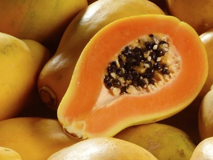 mamao foto divulgacao pmj