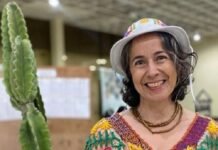 Quem é você em tempos de crise ?