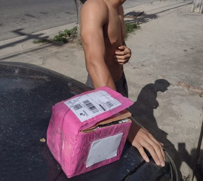 WhatsApp Image 2025-03-16 at 23.12.13