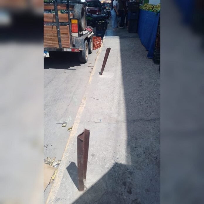 WhatsApp Image 2025-03-29 at 10.31.14