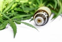 Autorizações para importação de cannabis aumentam 29% em 2026