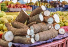 Agricultores familiares de Petrolina fornecerão alimentos para programa da CONAB