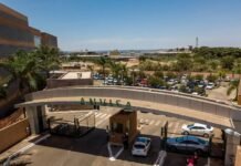 Creatina, óleo de canabidiol e paracetamol: Anvisa tira 5 produtos do mercado