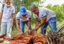 Petrolina (PE): População deve ficar atenta ao aparecimento de escorpiões nessa época do ano; saiba os cuidados