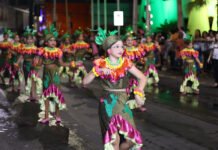 Desfile alegórico artístico em comemoração aos 131 anos de Petrolina (PE) acontece nesta segunda-feira (21)