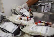 Especialista do Hospital Universitário explica novos critérios para doação de sangue