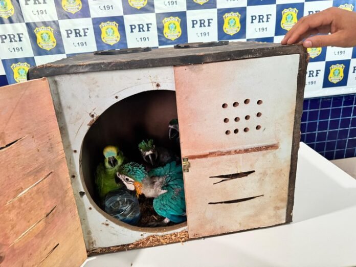 4ad42de2-485f-4f97-95b6-1cfd37b11708