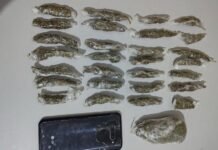 Homem é preso em flagrante por tráfico de drogas em Curaçá (BA)