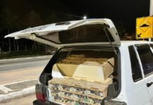 PRF resgata 585 animais silvestres transportados em condições de maus-tratos na Bahia