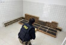 PRF resgata mais de 900 animais silvestres em Garanhuns (PE)