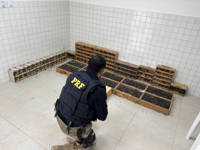 7ec0853c-37c6-4506-8f36-d359774cee73