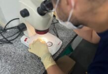 Pernambuco anuncia seleção simplificada para Secretaria de Defesa Social