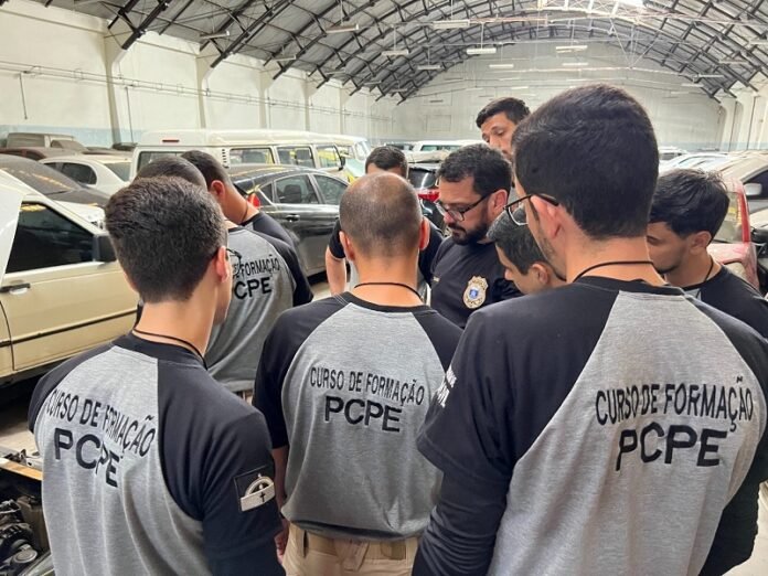 WhatsApp Image 2025-11-07 at 18.13.07