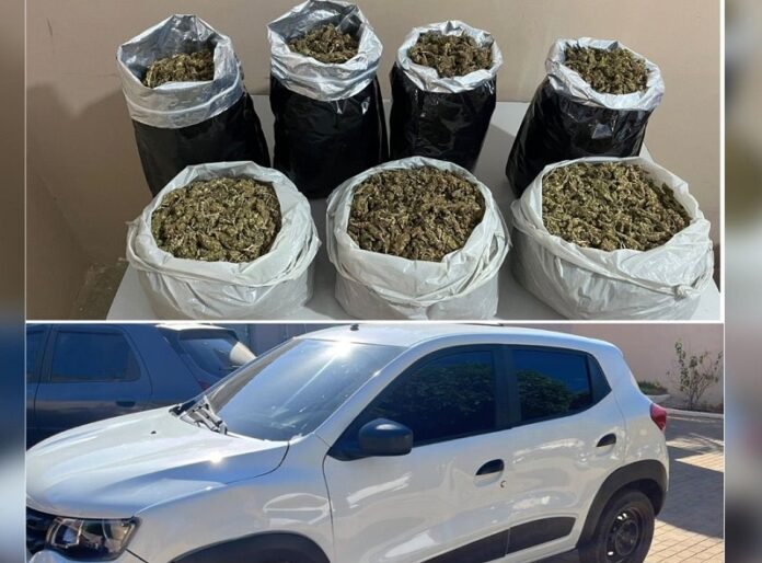 WhatsApp Image 2025-11-13 at 19.17.06