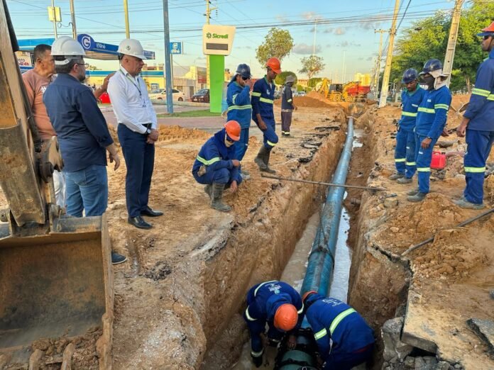 WhatsApp Image 2025-11-24 at 19.06.52