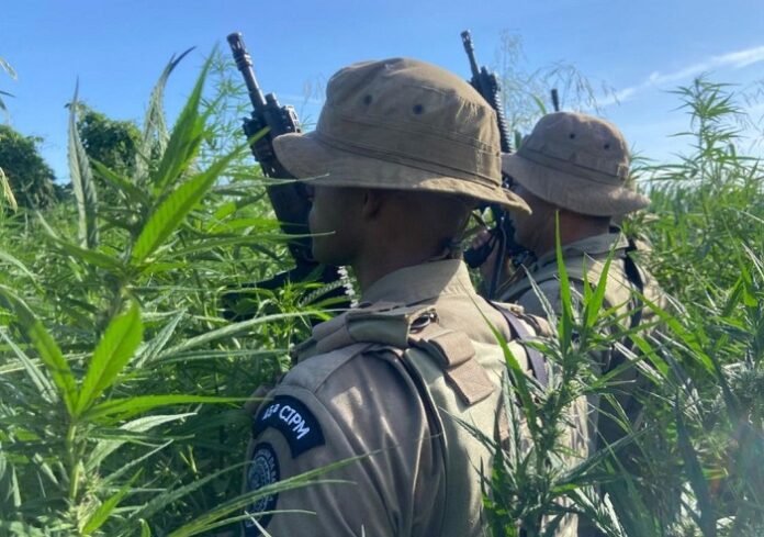 WhatsApp Image 2025-11-28 at 17.58.09