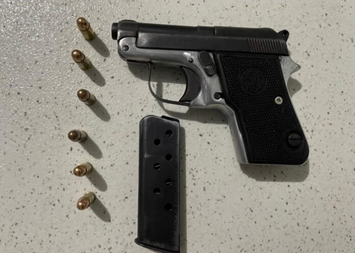 WhatsApp Image 2025-11-29 at 08.27.07