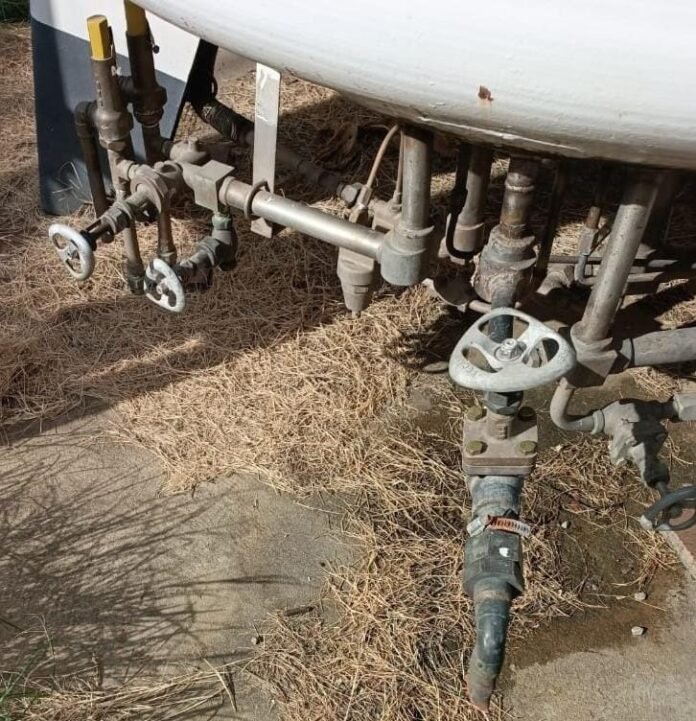 WhatsApp Image 2025-11-29 at 11.41.26