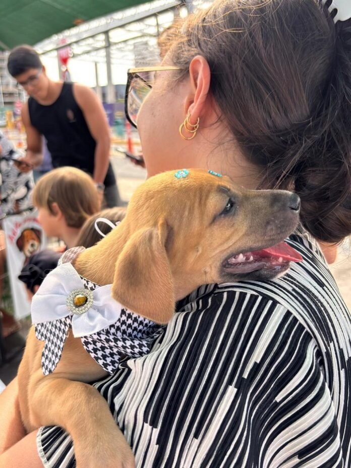 adoçaoanimaispetrolina