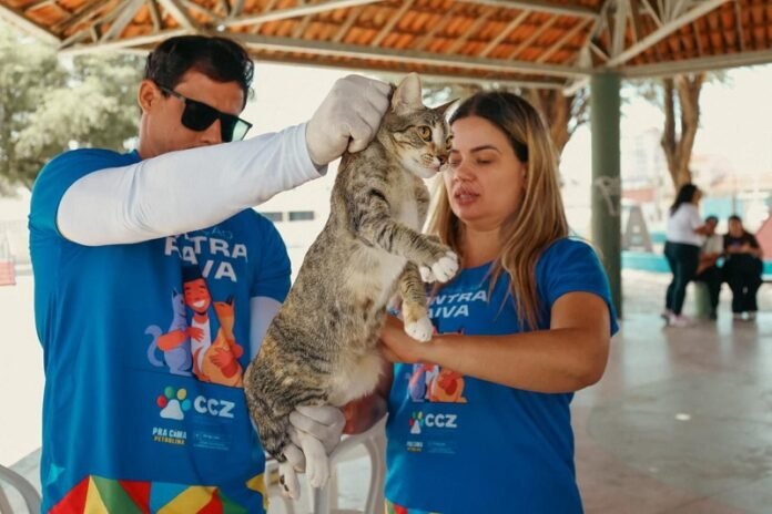 antirrabica petrolina