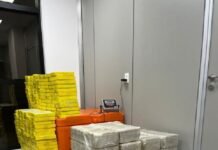 PF e Receita Federal apreendem quase meia tonelada de drogas em João Pessoa (PB)