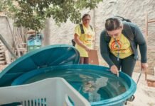 Petrolina segue com baixo risco de infestação das doenças transmitidas pelo Aedes aegypti
