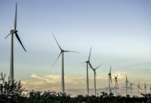 Transição energética causa impactos socioambientais em serras do Semiárido Baiano