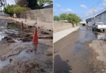 Petrolina (PE): Após serviço da Compesa, água limpa jorra em rua do bairro São José, diz leitor