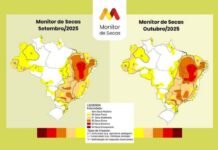 Seca avança nas cinco regiões e Nordeste lidera com a maior severidade