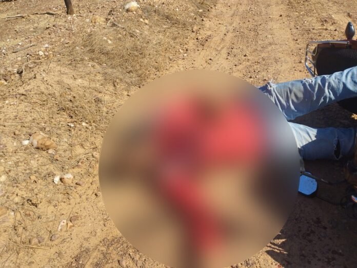 0000pp Image 2025-12-10 at 14.26.16