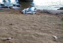 Afogamento é registrado na ilha do fogo entre Petrolina (PE) e Juazeiro (BA)