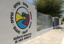 Petrolina (PE): AMMA fecha o ano com mais de 400 fiscalizações e 1.600 animais castrados