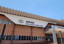 Anvisa proíbe produtos à base de alulose, um tipo de adoçante; entenda