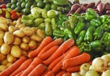 Prefeitura promove treinamento para garantir mais qualidade e segurança alimentar nas feiras livres de Petrolina