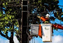 Neoenergia investe R$ 42 milhões na rede de distribuição de Petrolina, em 2025