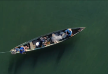 Pescadores profissionais têm até dia 31 para comprovar atividade