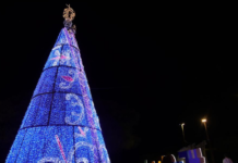 Imagem iluminada de Nossa Senhora Aparecida vira ponto de visitação no Natal Luz de Petrolina (PE)