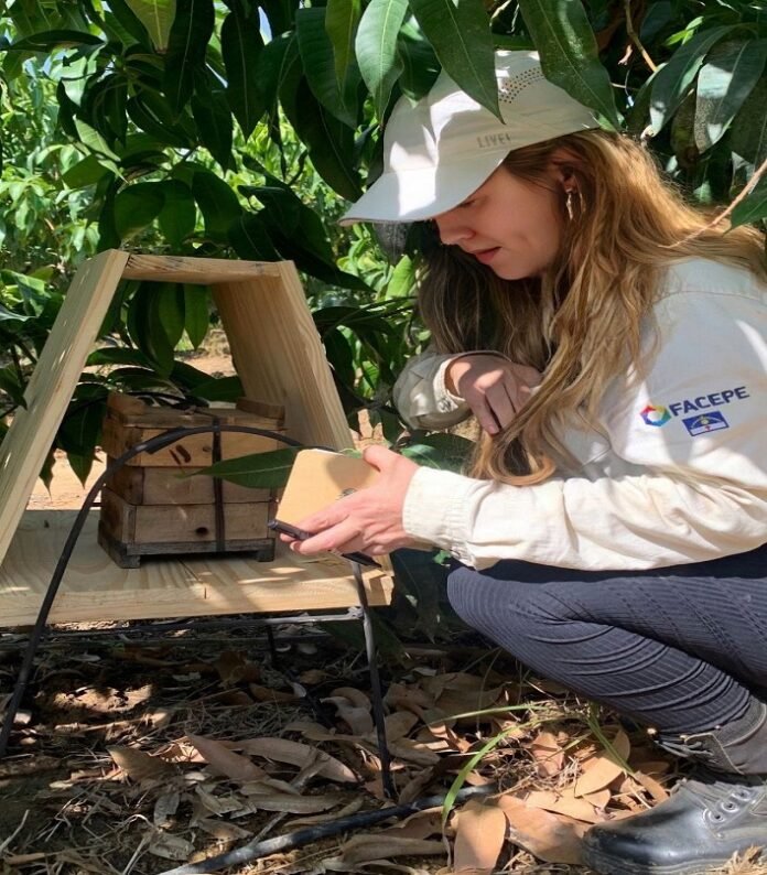 WhatsApp Image 2026-01-09 at 10.26.18