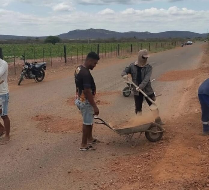 WhatsApp Image 2026-01-12 at 21.53.48