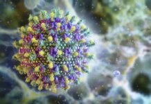 Entenda por que o risco do vírus Nipah é baixo e não ameaça o Brasil