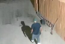 Pernambucano é morto a tiros por tentar impedir roubo em empresa em São Paulo