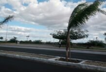 Prefeitura de Petrolina informa interdições neste domingo (1º)