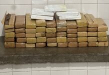 Operação da PM apreende 100kg de maconha e cocaína nas rodovias da Bahia