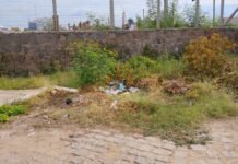 Morador cobra limpeza pública no bairro Alto Cheiroso em Petrolina (PE)