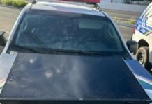 Petrolina (PE): Polícia prende homem por roubo no Projeto C-2